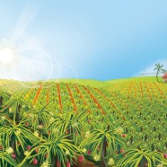 XPOSE Illustration - Dragonfruit Farm